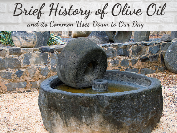 A Brief History of Olive Oil and its Uses Down to Our Day