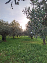 Load image into Gallery viewer, Single-Sourced, Unrefined, Cold-Pressed Extra Virgin Sicilian Olive Oil -90ml