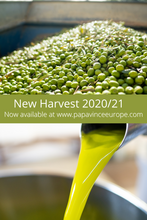 Load image into Gallery viewer, First Cold Pressed Sicilian Extra Virgin Olive Oil / Cultivar: Nocellara del Belice / 500ml