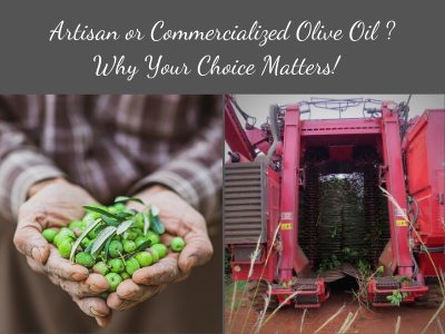 Artisan or Commercialized Olive Oil? Why Your Choice Matters!